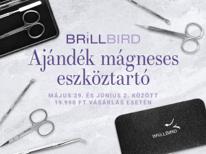 Ajándék glitter mágneses eszköztartó!